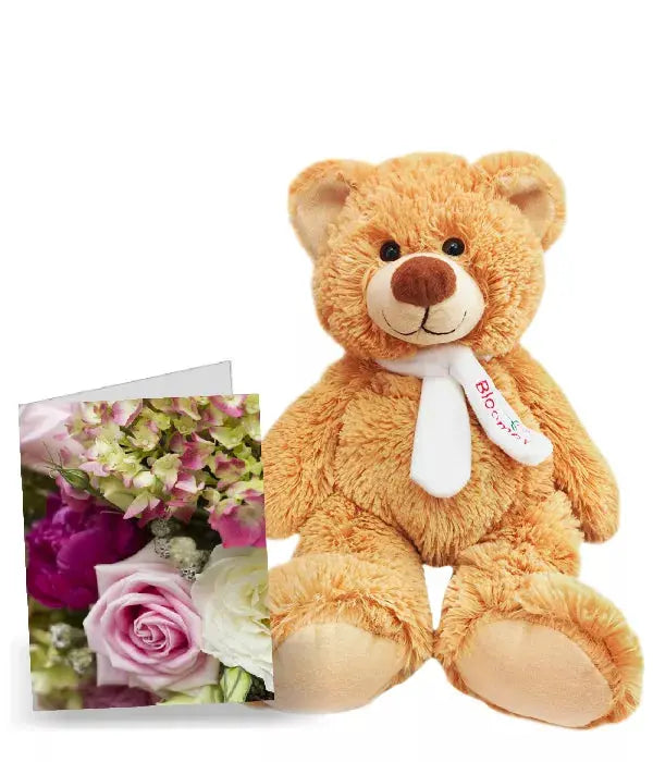 Card & Teddy - From You Flowers Aus