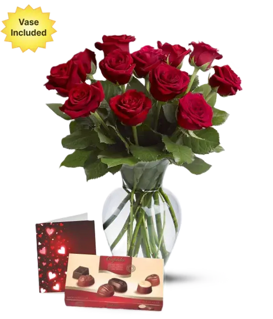 Down Under Romance Dozen Rose Bouquet with Beer