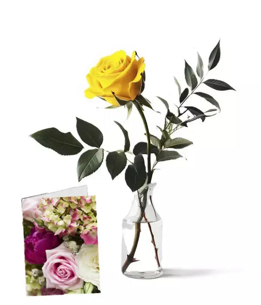 Down Under Get Well Roses Bouquet with Beer